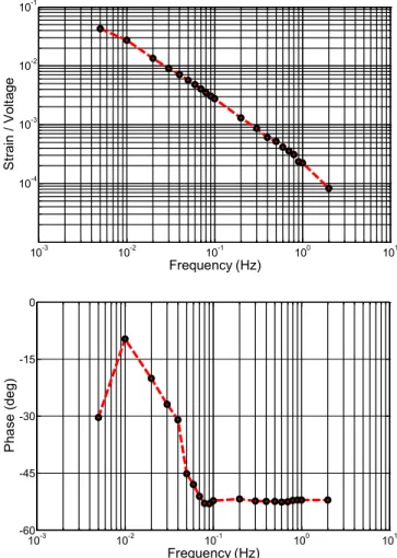 Fig.  3.  Open  loop  response  of  strain  per  volt  (ε/V)  and  phase  for  linear  contractile  polypyrrole