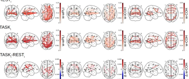 Figure 7. Functional connectivity assessment from fractal dynamics: Group-level functional connectivity in infraslow MEG-source reconstructed brain dynamics.