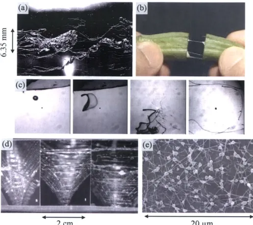 Figure  1-1:  Examples  of break-up  phenomena  - (a)  break-up  of a  high-speed  fluid jet  containing  PEO,  (b)  thin threads  formed  from  cutting an  ocra,  (c)  'bag-break-up' atomization  in  a  droplet  ejected  from  a nozzle  into  high-spped  