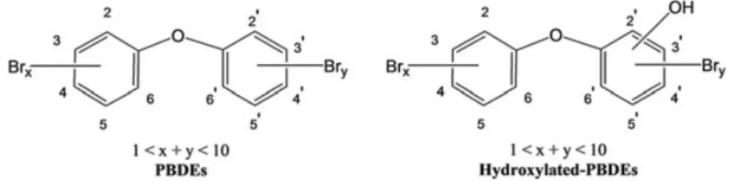 Figure 1. Generic structure of PBDEs and hydroxylated PBDEs.