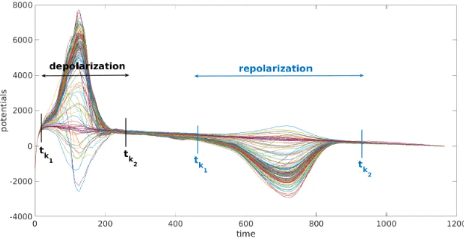 Fig. 2. Example of choice for k 1 and k 2 for experimental signals. Each curve represents the signal of one of the torso electrodes.