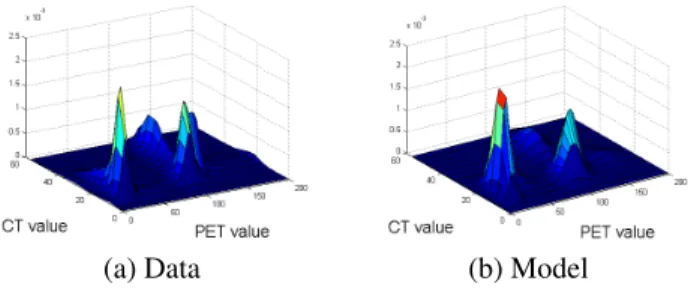 Fig. 2 . Data fit. (a) 2-D histogram of the data ; (b) Estimated Bivariate Poisson Mixture Model