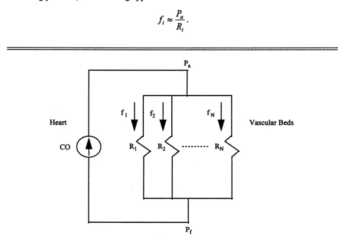 Figure  2-3:  Electrical  circuit  model  relating  cardiac  output (CO),  arterial  pressure  (Pa), filling  pressure  (Pf),  local  vascular  resistance  (Ri),  and  local  blood  flow  (fi)