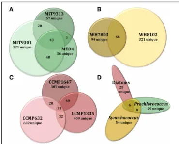 FIGURE 3 | Venn diagrams comparing DOM P composition at several levels of phylogenetic variation for all eight phytoplankton strains tested in this study