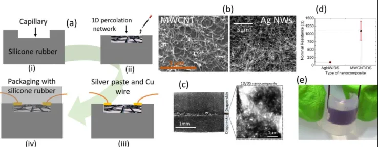 Figure 1. (a) Schematic of the micromolding-in-capillary (MIMIC) fabrication process of the stretchable strain sensors, (b) SEM images of the 1D materials  (MWCNTs  and  Ag  NWs),  (c)  cross-sectional  SEM  images  of  the  sensor,  (d) average  nominal  