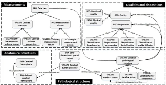 Figure 1: The basic pattern of the main classes in the VASARI ontology vasari:CerebralTumorAdjacentToBrainCortex