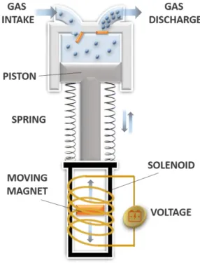 Fig. 5 – Scheme of a linear compressor 