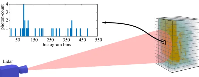 Figure 1: Illustration of a single-photon lidar dataset containing two surfaces (the man behind camouflage from [15])