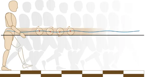 Figure 1: Illustration of the CoM trajectory in the sagittal plane during human walking