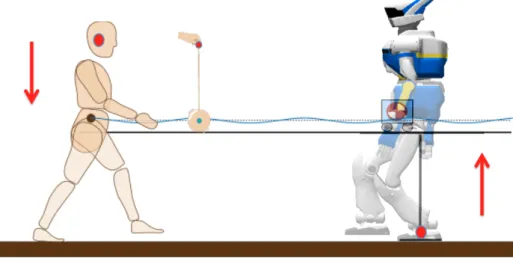 Figure 11: The Yoyo-Man model opens promising research routes to continue exploring the computational foundations of human and humanoid walking