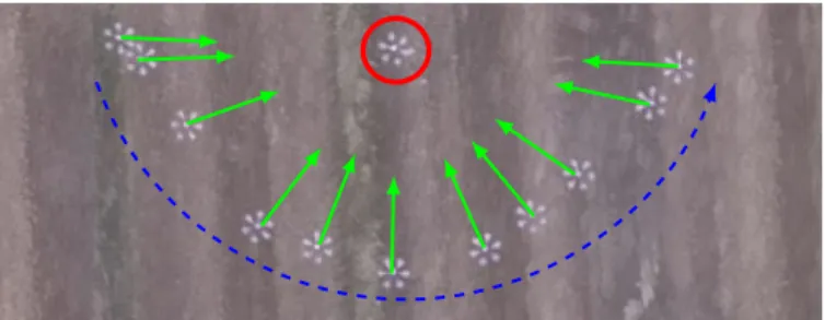 Fig. 1: Top view of a directed leader-follower experiment. The leader rotates by 180 