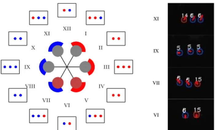 Fig. 4: Left – The layout of the two marker IDs on the considered hexarotor, denoted as blue (6 Hz) and red (15 Hz)