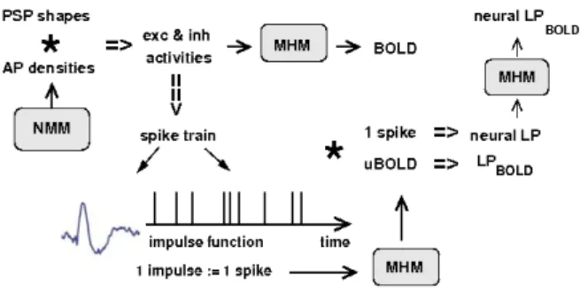 Fig. 2: Comparison of the BOLD signal and its LP for a  30s spike train consisting of rectangular input impulses