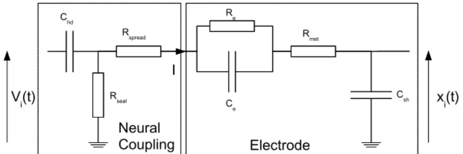 Figure 1: Martinoia’s model of neuron-electrode coupling [Martinoia et al., 2004].