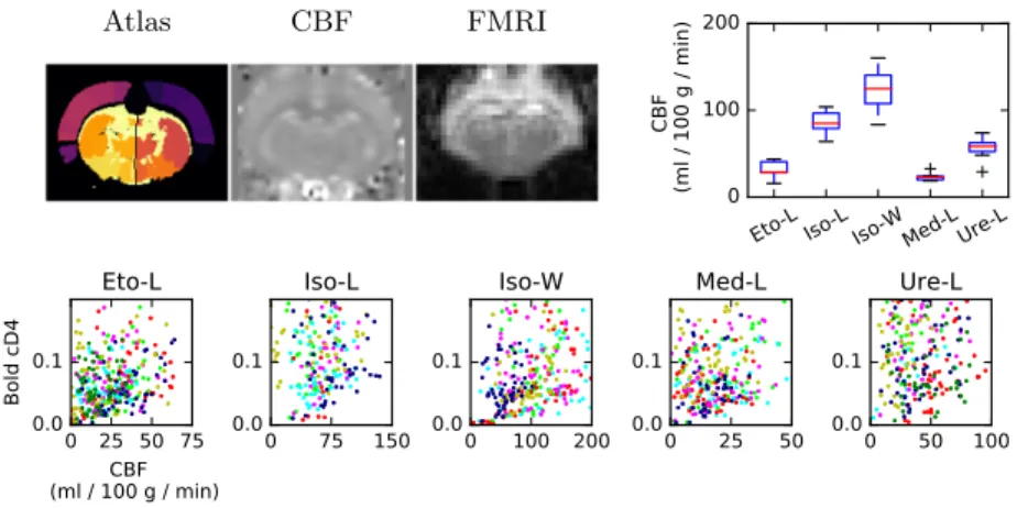 Figure 1: Brain areas of the atlas (atlas), normalized CBF map and normalized FMRI (FMRI)