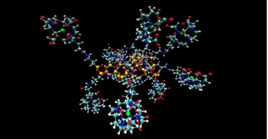 Figure 8. Representation of a typical USRP with a polysiloxane core and DOTA(Gd) species grafted through amide functions (Si yellow, O red, C light blue, N blue, Gd green, H white) (21).