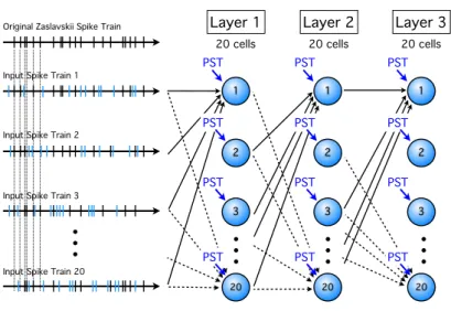Fig. 2. Convergent/divergent feed-forward circuit formed by three neuron layers. Each cell receives 15 aﬀerent spike trains randomly selected out of 20 and a PST (independent Poissonian spike train).