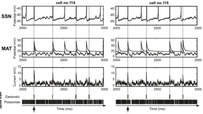 Fig. 4. Left and right panels shows data from two neurons belonging to the 1st layer.