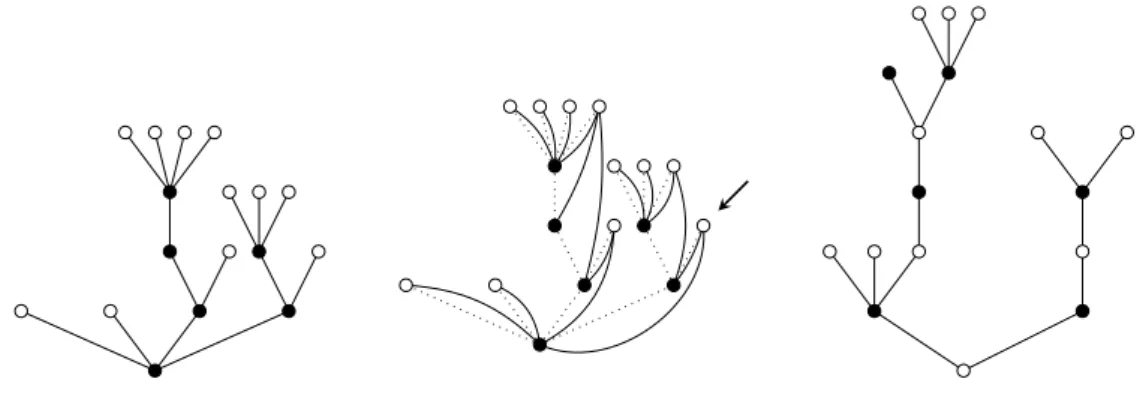 Figure 5: The Janson–Stefánsson bijection from one-type trees to two-type trees.