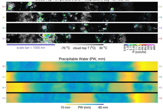 Figure 1. Snapshot of convection in channel simulation at T S 5 300 K. The top subplot shows the cloud top temperature and precipitation rate while the bottom subplot shows the precipitable water