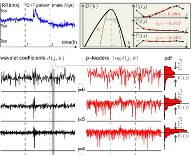 Fig. 1: Illustration of wavelet p-leader based multiscale and multifractal analysis.