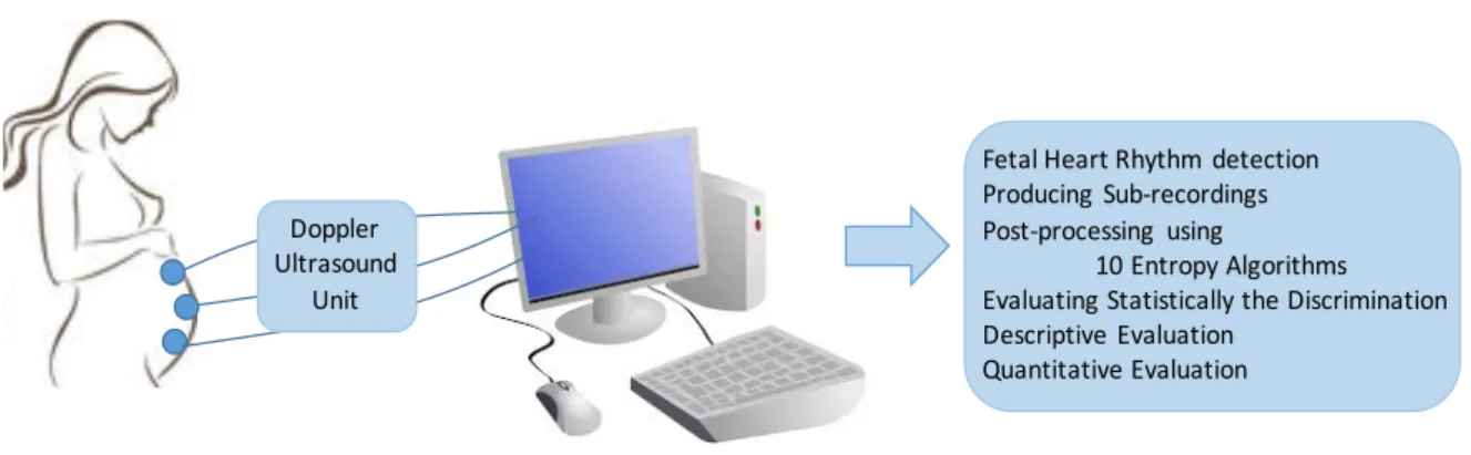 Fig. 1: The flowchart of FHR recording and complexity analysis through standard and kernel-based entropy.