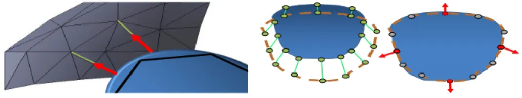 Fig. 1. The control points (grey) are as- as-sociated to the closest point of the  cu-bic interpolation (blue) of the FE surface (black)