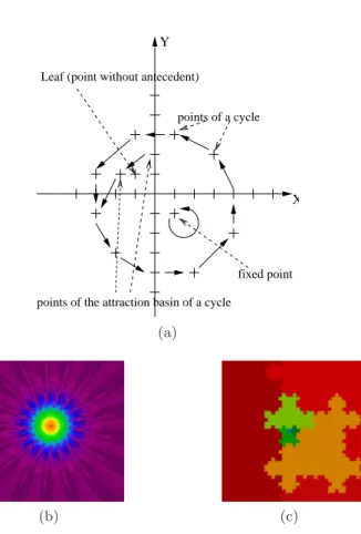 Fig. 3: (a) Example of cycle, fixed point and leaf. (b) QLT with many cycles. The points of a cycle and those that reach this cycle have the same colours