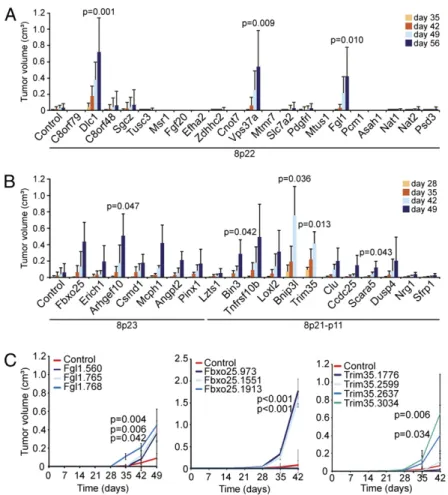 Fig. 2. Chromosome 8p deletions target multiple TSGs. (A and B) Average volume of tumors derived from s.c