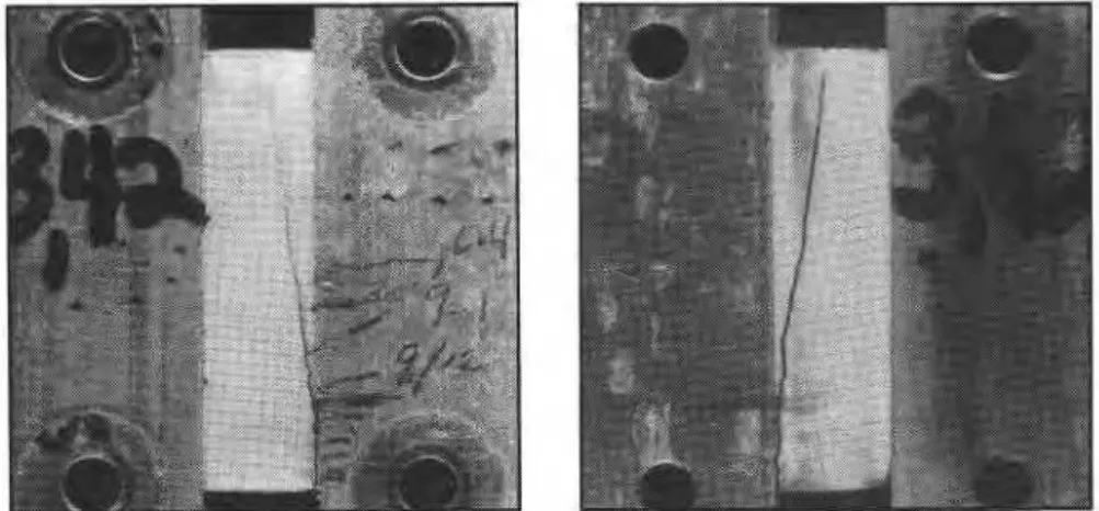 Figure  15.  After  two  months  (?15.8%).  Figure 16a. South exposure.  Figure 16b. North exposure