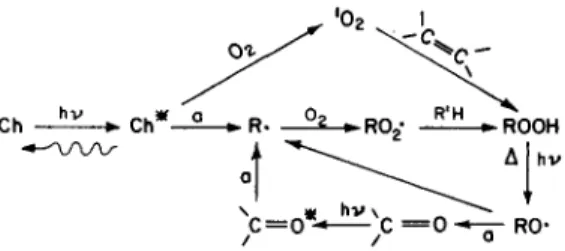 Fig.  1.  T h e   p h o t o c h e m i s t r y   o f   h y d r o c a r b o n   p o l y m e r s ,   (a)  indicates  processes  w h i c h   c a n   c a u s e   b a c k b o n e   scission