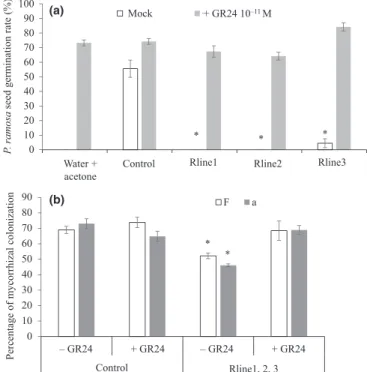 Fig. 4 Quantification of strigolactones in roots of control and RNAi Sl- Sl-IAA27 plants, and effect of GR24 on mycorrhization of control and RNAi Sl-IAA27 plants