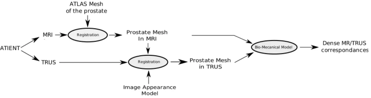 Fig. 1. Overview of the method including MR images segmentation, TRUS images segmentation and MR/TRUS data fusion.