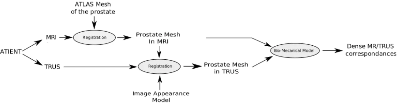 Fig. 1. Overview of the method including MR images segmentation, TRUS images segmentation and MR/TRUS data fusion.