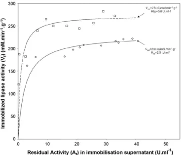 Fig. 5. Comparison of adsorption curves for the adsorption of CalB on Accurel MP1000 (♦) and on Accurel MP1001 () pre-wetted with acetone (protocol C) at room temperature