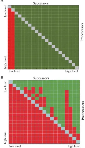 Figure 4: Reachability matrices of the feedforward connectivity.