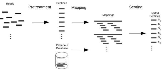 Figure 1. Peptides scoring pipeline