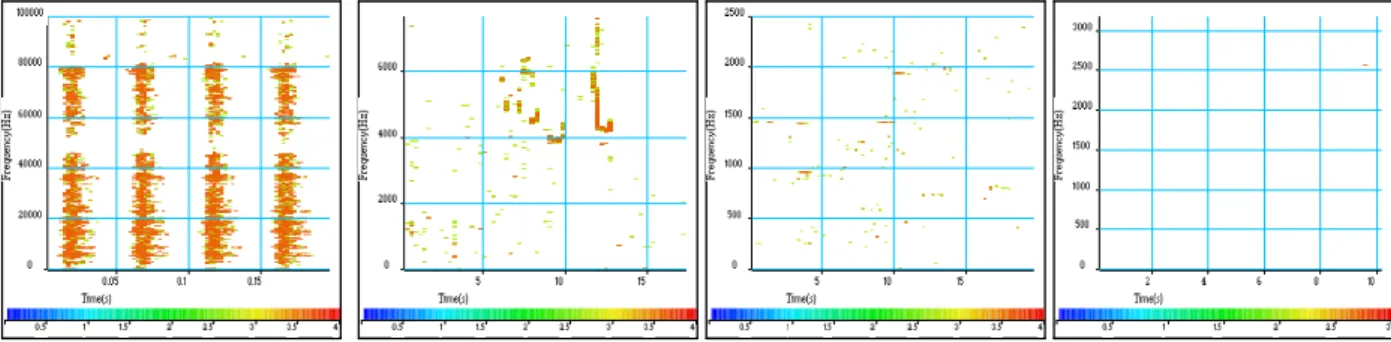 Figure 2. Results of the time-frequency test applied on spectrograms computed  with (from left to right) the magnetic Barkhausen noise, the dolphin whistles, the 