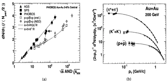 Figure  1.10:  (a) Normalized  pseudorapidity density  of charged  particles  emitted within JIr  &lt; 1 in  p+p  (p+p) and  central  Au+Au  (AGS  and  PHOBOS  at  RHIC)  and Pb+Pb (sPs) collisions  as a function of nucleon-nucleon  center-of-mass  en-ergy