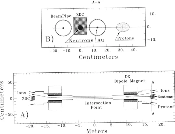 Figure  2.8:  Plan view  (bottom) and &#34;beam's  eye&#34;  view  (top) paths taken by gold ions, protons, and neutrons