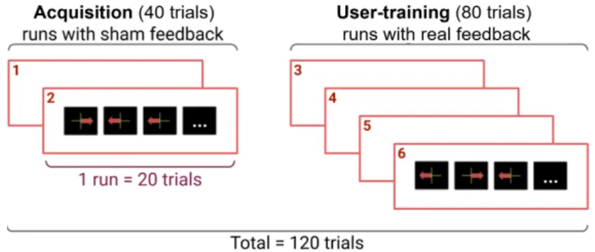 Figure 2: The BCI session included 6 runs divided into two steps: (1) data acquisition to train the system (2 runs) and (2) user training (4 runs)