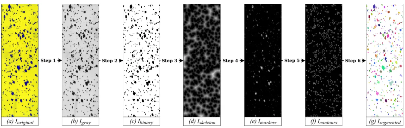 Figure 1 shows the image processing of DropLeaf, which comprises of six steps carried over a given spray card: (i) color space conversion; (ii) binary noise removal; (iii) morphological operation of skeletonization; (iv) thresholding; (v) identification of