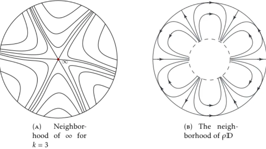 Figure 6.1. The separatrices of the pole at ∞ and the petals along the boundary of the disk ρ D .