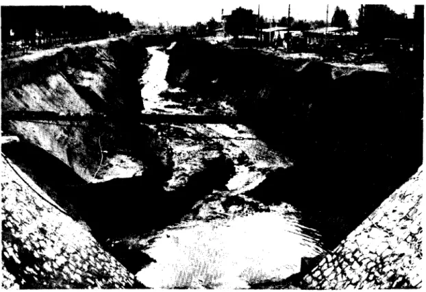 Fig.  19  Drainage  channel  in  loess to Yellow River  at  Lanchow 