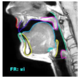 Figure 1: Articulator contours superimposed on a  midsagittal  image.  Different  colours  represent  different  articulators,  in  a  clockwise  rotation  along  the vocal tract walls: upper lip, palate, velum,  naso-oropharyngeal  wall,  back  larynx,  e