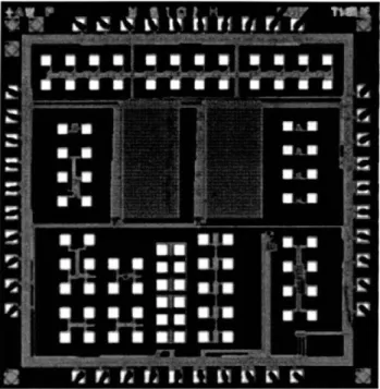 Figure  3.5:  ICphotomicrograph