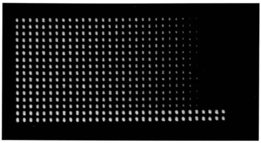 Figure  3.10:  32-level grayscale gradient. Bottom two rows are at full intensity