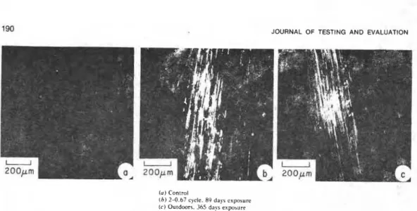 FIG.  4-Oprrcul  m~~spiruousnrss  01  ~luss  fibers  or  PVF-rrsi~r  i~rrrrjarr ol  PVF.luntirruted  GRP  irrdrlcrd b.)~  anilicial otrd outdsor  weathering
