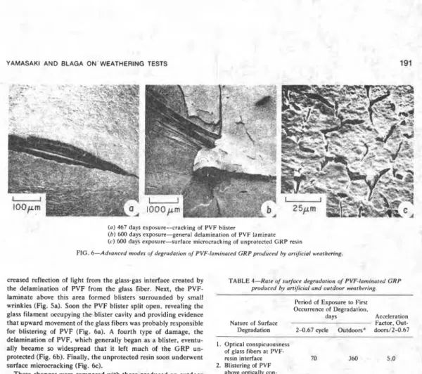 FIG.  6-Advanced  modes o/degrodation  of  PVF-lomirtated GRPpraduced by  arrijcial weathering