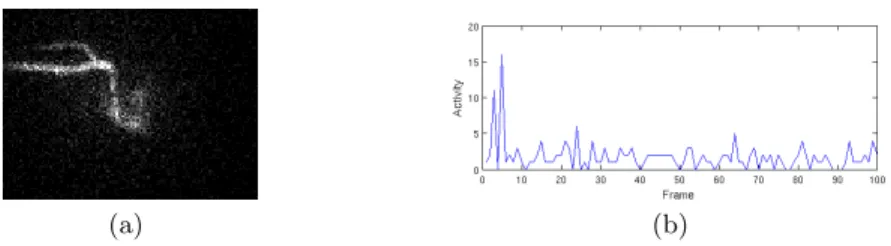 Fig. 1. 6-DIG SPECT dataset (a) 3rd image of a sequence - Tracer reaching right ventricle (b) Activity of a pixel located on the right ventricle on the first 100 frames.